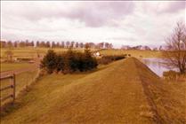 1981. Towards Managers Cottage
